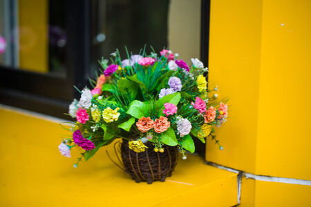 Beautiful spring flowers in a glass vase, Windowの写真素材