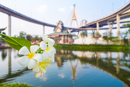 Ring Road  and Bhumibol Bridge on blue sky at bangkok,thailand.の写真素材