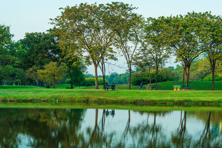 Summertime in evening with sunlight background, near a pondの写真素材
