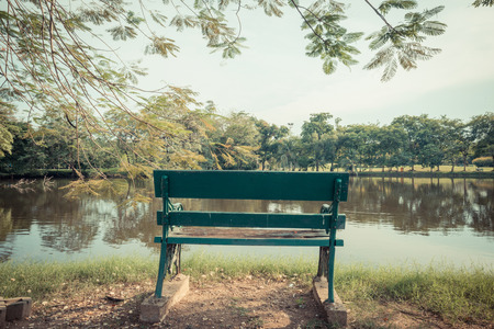 Bench in Green lawn at city park, Beautiful parkの写真素材