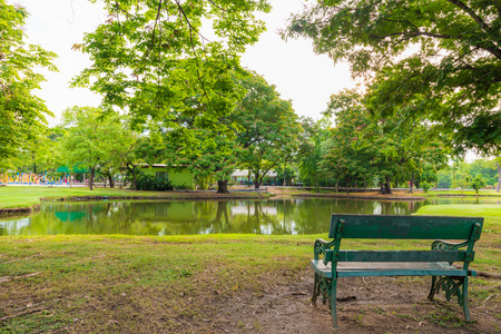 Bench in Green lawn at city park, Beautiful parkの写真素材