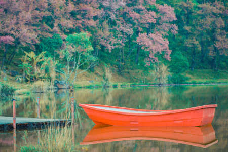 Red boat on lake with reflection trees and wild Himalayan Cherry flower blossom,の写真素材