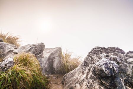Deep misty valley in northern of Thailand, dreamy landscape.の写真素材