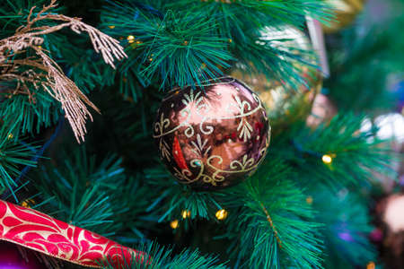 Christmas lights hanging on tree, Decorated Christmas treeの写真素材