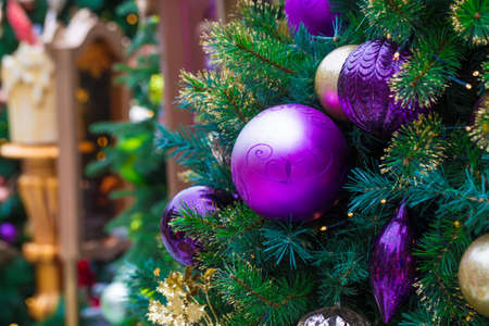 Christmas lights hanging on tree, Decorated Christmas treeの写真素材