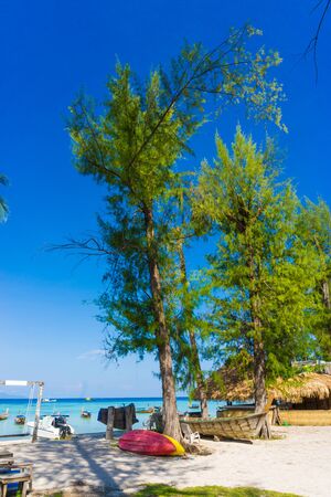 Kayak Rentals on the Beach, Kayak at the tropical beachの写真素材