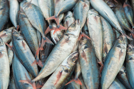 Fresh sea fish on display at a fish market