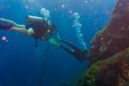 Scuba diving on coral reef in sea, Koh Tao, Thailand