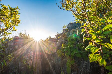 Sun set over sub alpine hills, Scenic Landscapeの写真素材