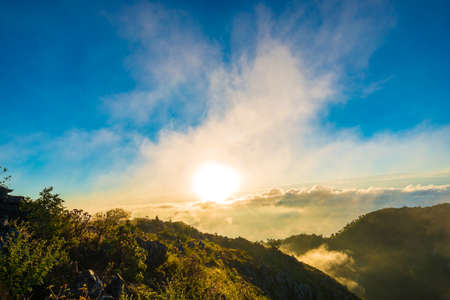 Peak of mountain fog in morning sub alpine forest