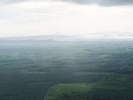 Green mountain landscape in morningの写真素材