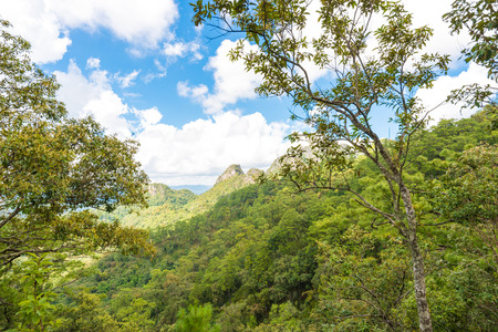 Green scene view of sub alpine mountain in raining season at Chiangmai, Thailand