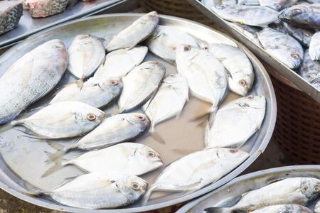 Fresh raw sea fish in the market, Seafood