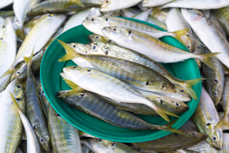 Fresh raw fish on plate for sale in the traditional fishery market, seafood in marketの写真素材