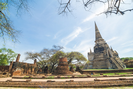 Ayutthaya Historical Park with Tree branch blue sky, Phra Nakhon Si Ayutthaya. Thailand.の写真素材