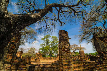 Ayutthaya Historical Park with Tree branch blue sky, Phra Nakhon Si Ayutthaya. Thailand.の写真素材