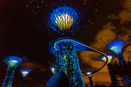 SINGAPORE - August 10, 2014: Supertrees at Gardens by the Bay. The tree-like structures are fitted with environmental technologies that mimic the ecological function of trees.のeditorial素材