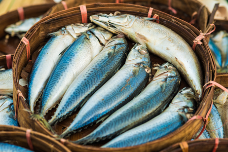 Fresh raw Mackerel fish in the market, Seafoodの写真素材