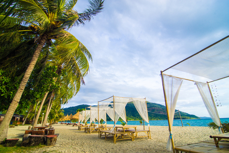 Beach chairs dry plant umbrella background with coconut palm tree on the tropical beachの写真素材
