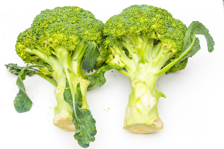 Broccoli organic vegetable close up isolated on white backgroundの写真素材
