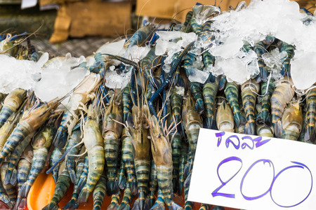 Fresh sea shimp on ice, Seafood at the fish marketの写真素材