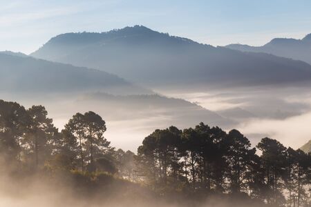 Nature landscape of geen tree mountains of Thailand winter dayの写真素材