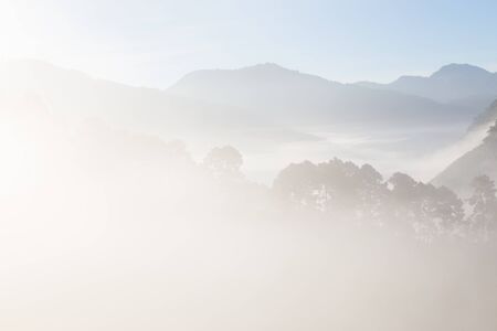 Nature landscape of geen tree mountains of Thailand winter dayの写真素材