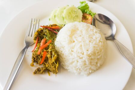 Thai jasmine rice with spicy curry on plateの写真素材