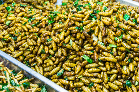 Fried of many warm insect alternative protein nutrition in raditional Thailand marketの写真素材