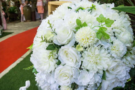 Bloom white rose close up flower of loveの写真素材