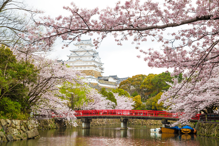 Himeji Castle with Red Bridge While Cherrry Blossoms Viewing Festival, Kyoto Japanのeditorial素材