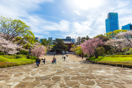 Sakura blossom in garden with pathway, Tokyo Japanのeditorial素材