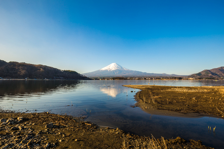 Mountain Fuji and lake kawaguchiko with yellow grass, Japanの写真素材