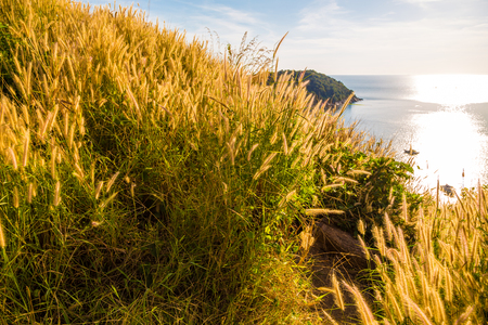 Seascape coastline Andaman sea while sunset, Phuket, Thailandの写真素材