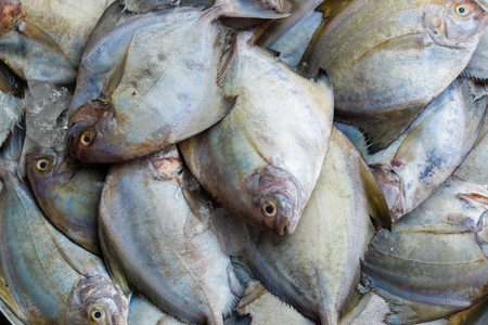 Fresh sea fish in local market, Thailand