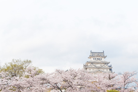 Himeji castle with sakura one of japan's best destination for travel, Hyogo Japanのeditorial素材