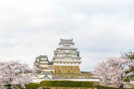 Himeji castle with sakura one of japan's best destination for travel, Hyogo Japanのeditorial素材