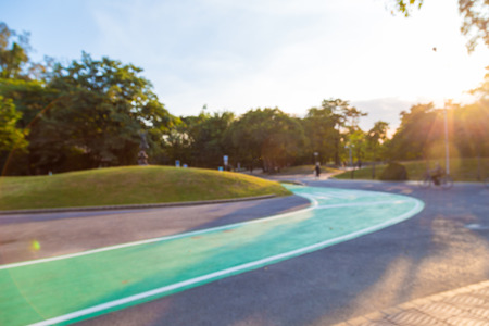 Green bicycle road in park with blue sky and sunset