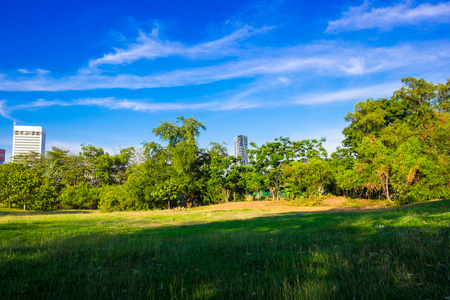 Park with building skyscraper in the green city blue skyのeditorial素材