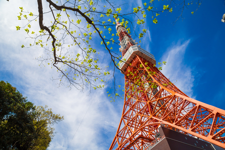Tokyo tower red modern building with green tree blue skyのeditorial素材