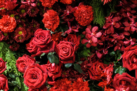 Bunch of natural red rose background love textureの写真素材