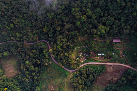 Green scenery aerial view of deep mountain forest with road look down viewの写真素材