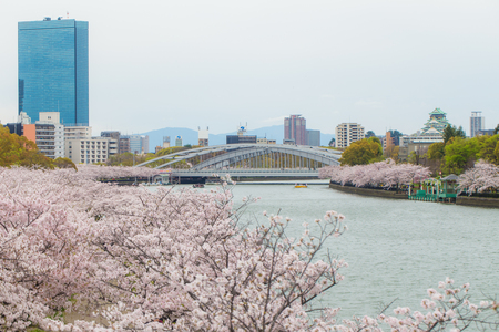 Sakura blooming park with river and building, Tokyo, Japanのeditorial素材