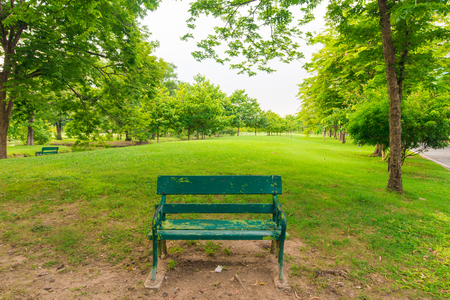 Park bench in public tree park fresh green backgroundの写真素材