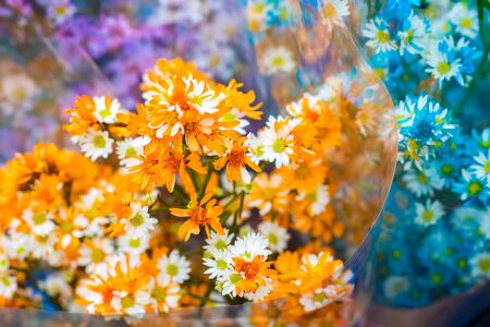 Dry colorful bouquet decoration background, Elegance flowerの写真素材