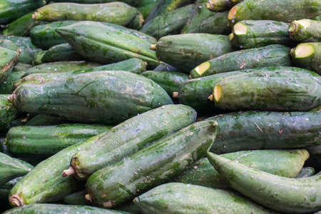 Green zucchini close up in local market agricultural bojectの写真素材
