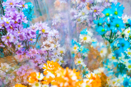 Dry colorful bouquet decoration background, Elegance flowerの写真素材