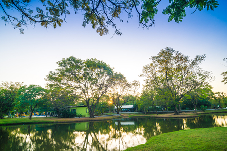 Sunset at public green park with pond natural backgroundの写真素材