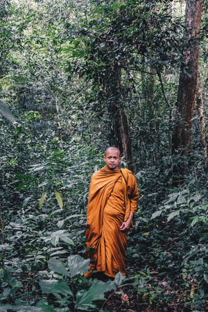 Monk walking meditation in green deep forest, Buddhist monkの写真素材