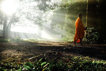 Monk walking in forest morning sunrise to collect alm religiously conceptの写真素材
